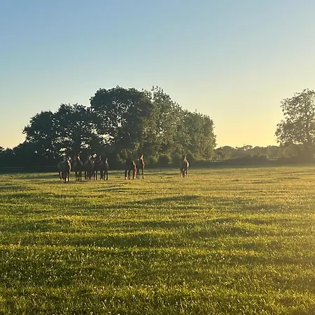 La Cidrerie D Antan Habitación en casa particular
