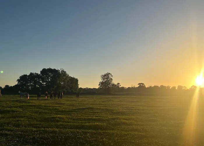 La Cidrerie D Antan *