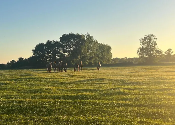 La Cidrerie D Antan Habitación en casa particular